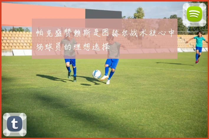 帕克盛赞赖斯是图赫尔战术核心中场球员的理想选择