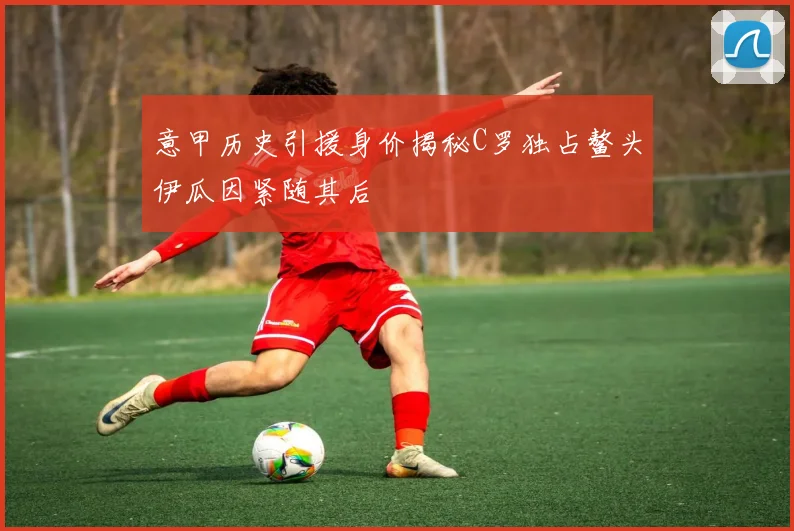 意甲历史引援身价揭秘C罗独占鳌头伊瓜因紧随其后