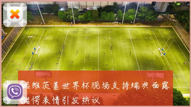 诺维茨基世界杯现场支持瑞典面露错愕表情引发热议
